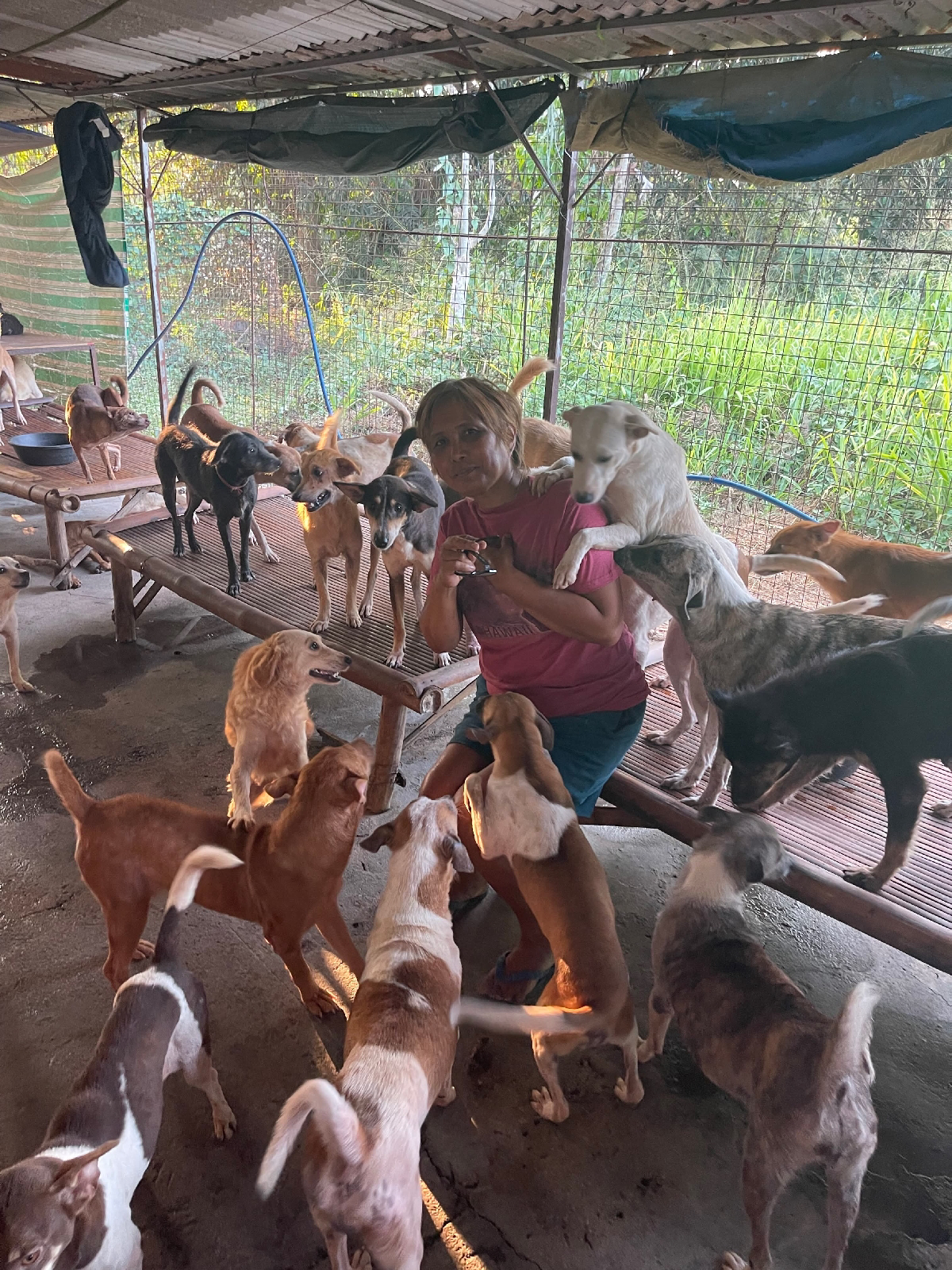 Life dedicated to animal rescue