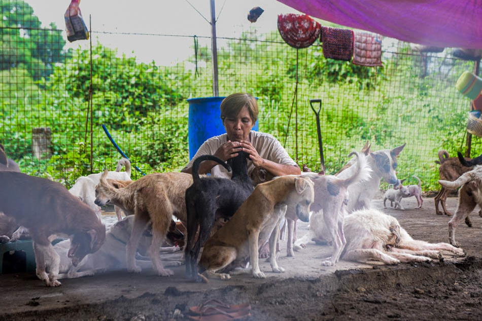 Leah Borbon Dopelis community animal rescuer