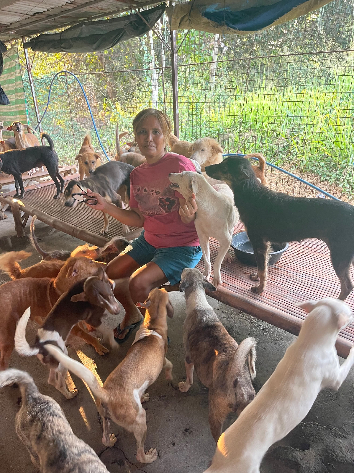Animal shelter challenges