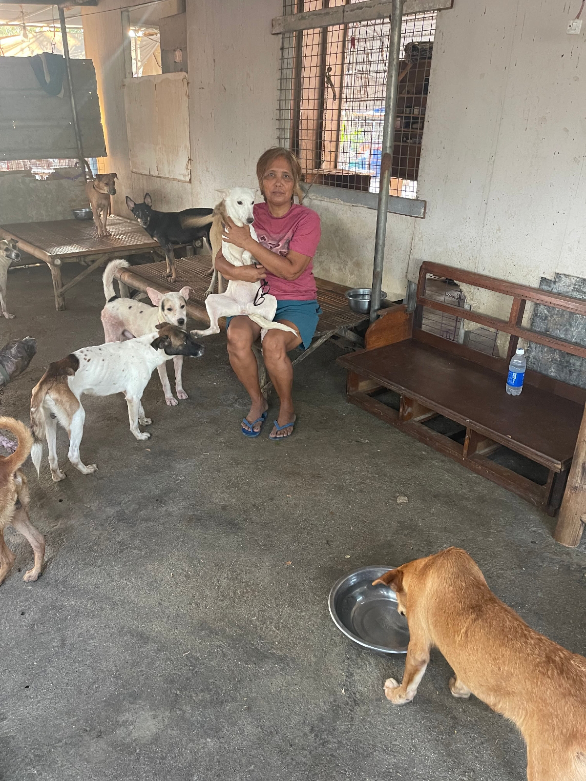 Animal welfare advocate Philippines