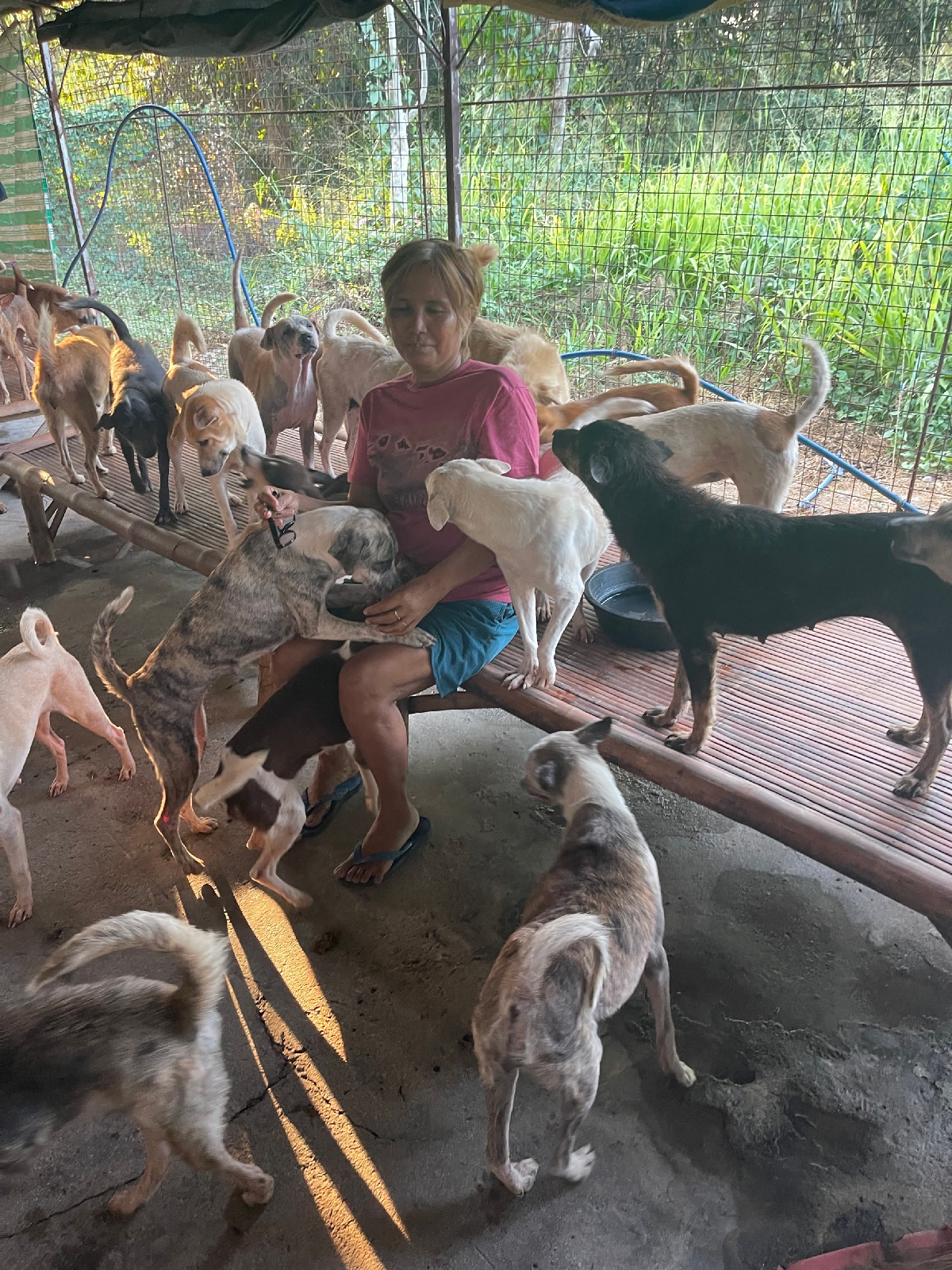 Personal sacrifices of animal rescuer