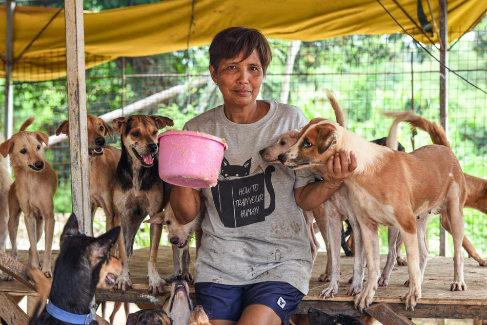 Leah Borbon Dopelis Animal Rescuer Philippines