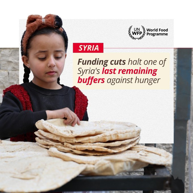 Syria hunger crisis 2026 WFP cuts food aid by 50% as food insecurity worsens